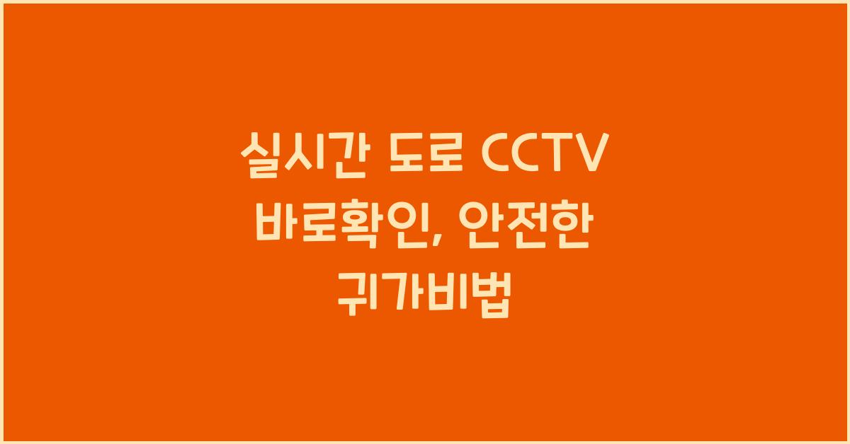 실시간 도로 cctv 바로확인