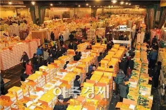 가락동 농산물 경매시세 실시간 확인 완벽 농산물 정보_13