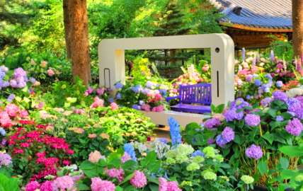 수도권 수국명소 추천 7곳, 도심 속에서 만나는 수국의 향연