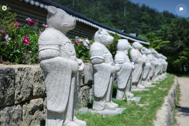 2024년 삼재인 띠는? 삼재를 피하는 방법(들삼재, 눌삼재, 날삼재)