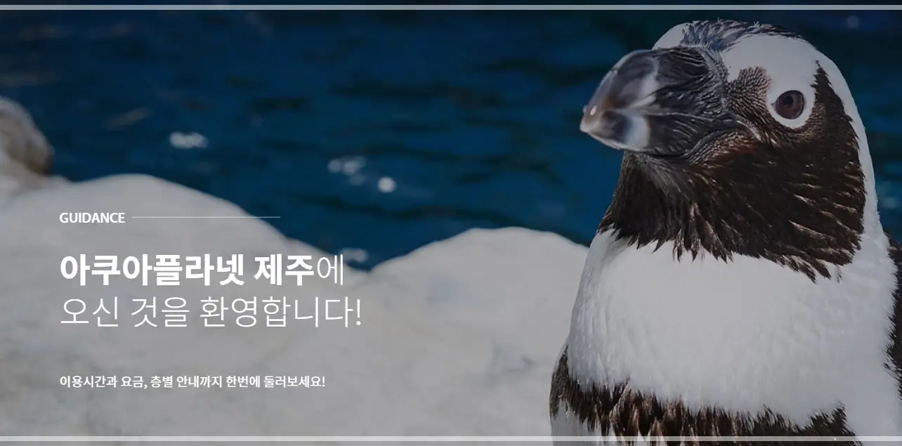 제주-아쿠아플라넷-가격-입장료-할인-영업-시간