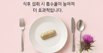 밀크씨슬 효과와 복용법