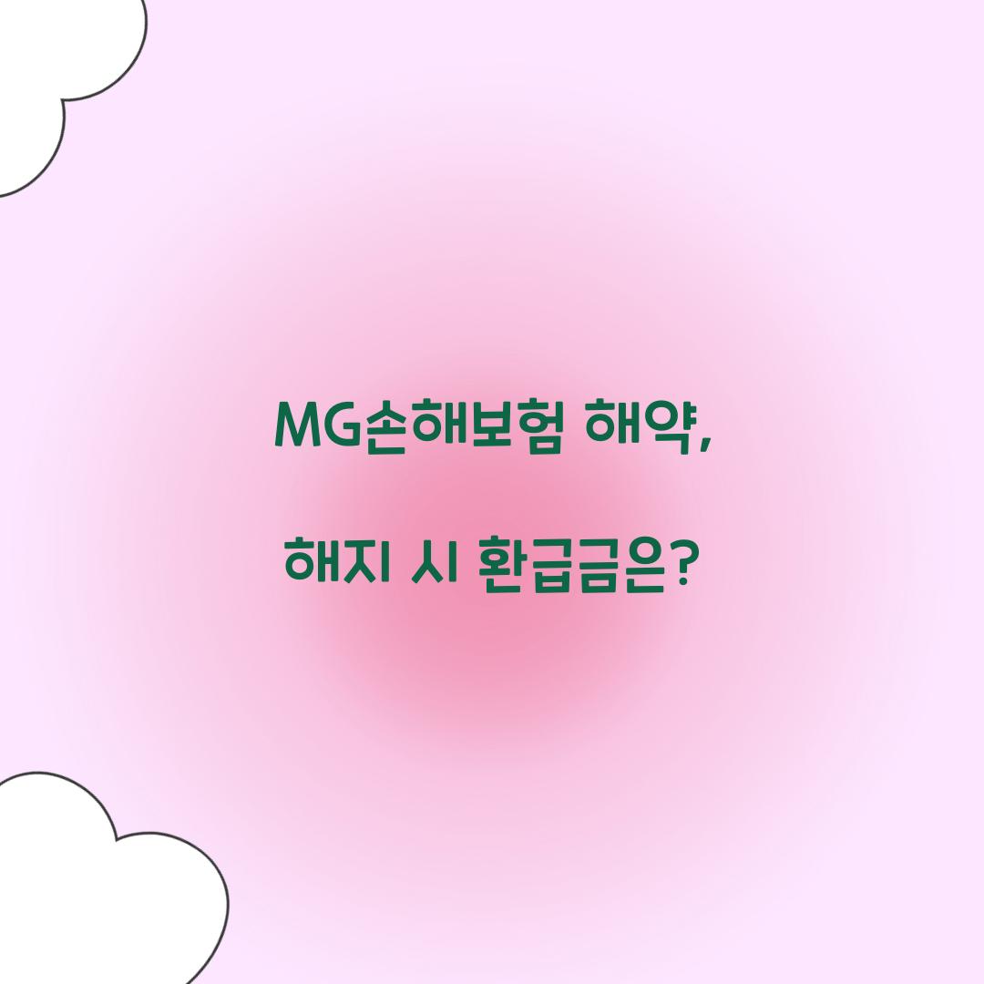 MG손해보험 해약