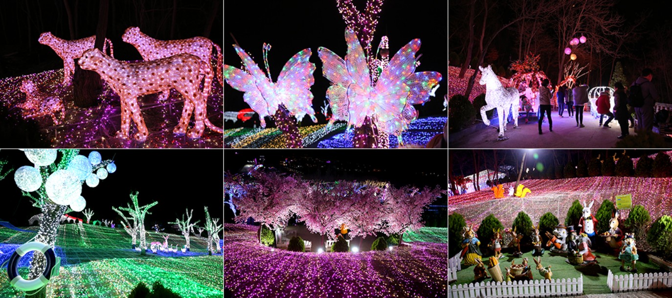 12월 축제 일정표