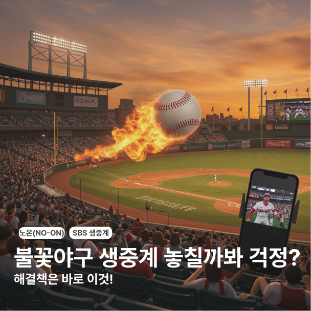 '노온' 때문에 불꽃야구 생중계 놓칠까봐 걱정? - 인터넷 중계는 제한