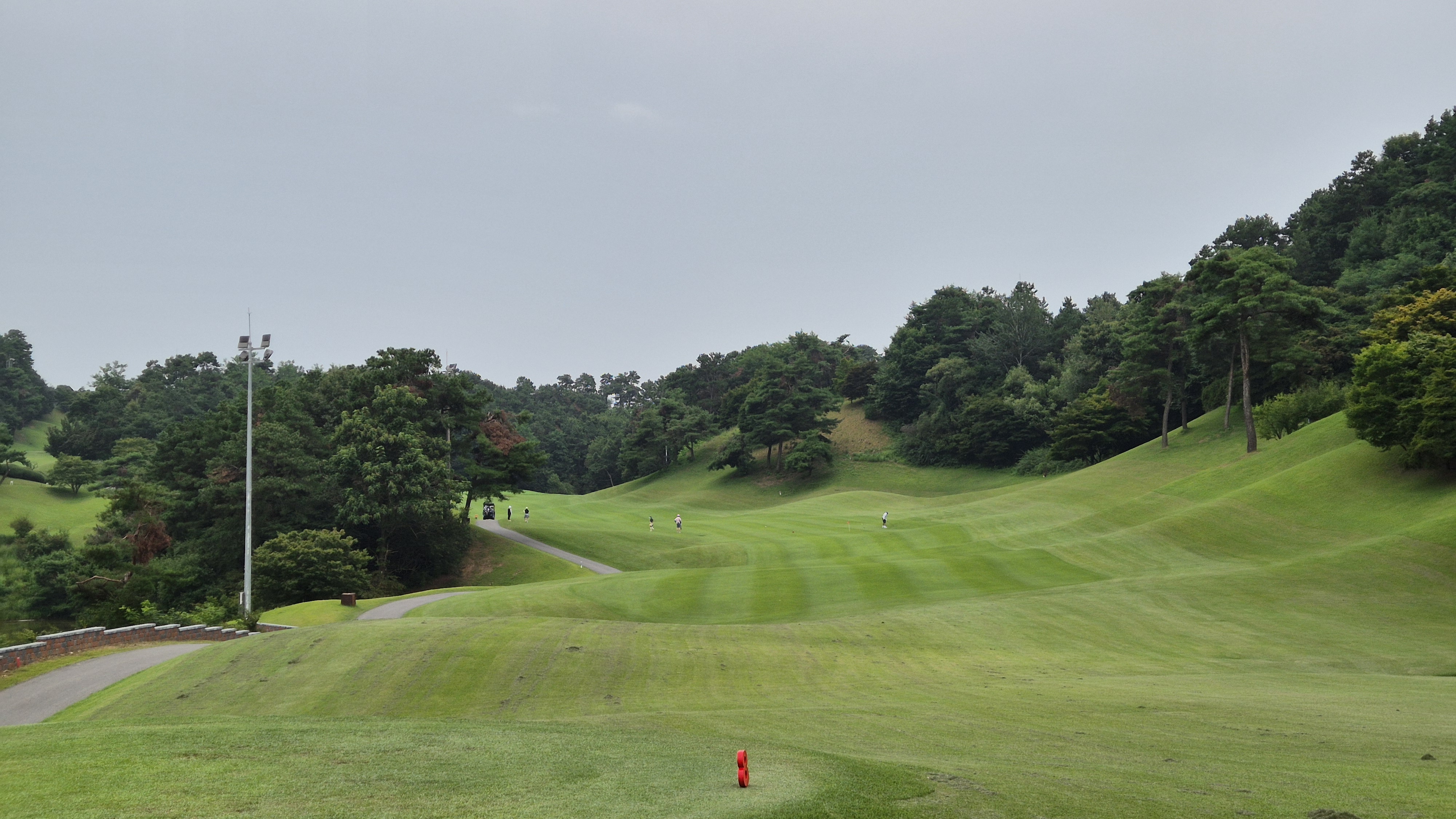 한림용인cc 다이아몬드-사파이어 코스 사진 및 공략 정보