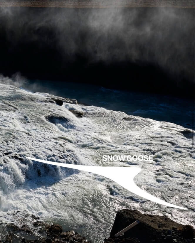 스노우구스_바이_캐나다구스_팝업