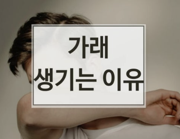 가래 삭히는 방법