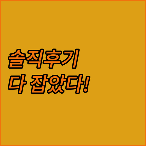 ✨ 이디오 심플 노트북 파우치 솔직 ..