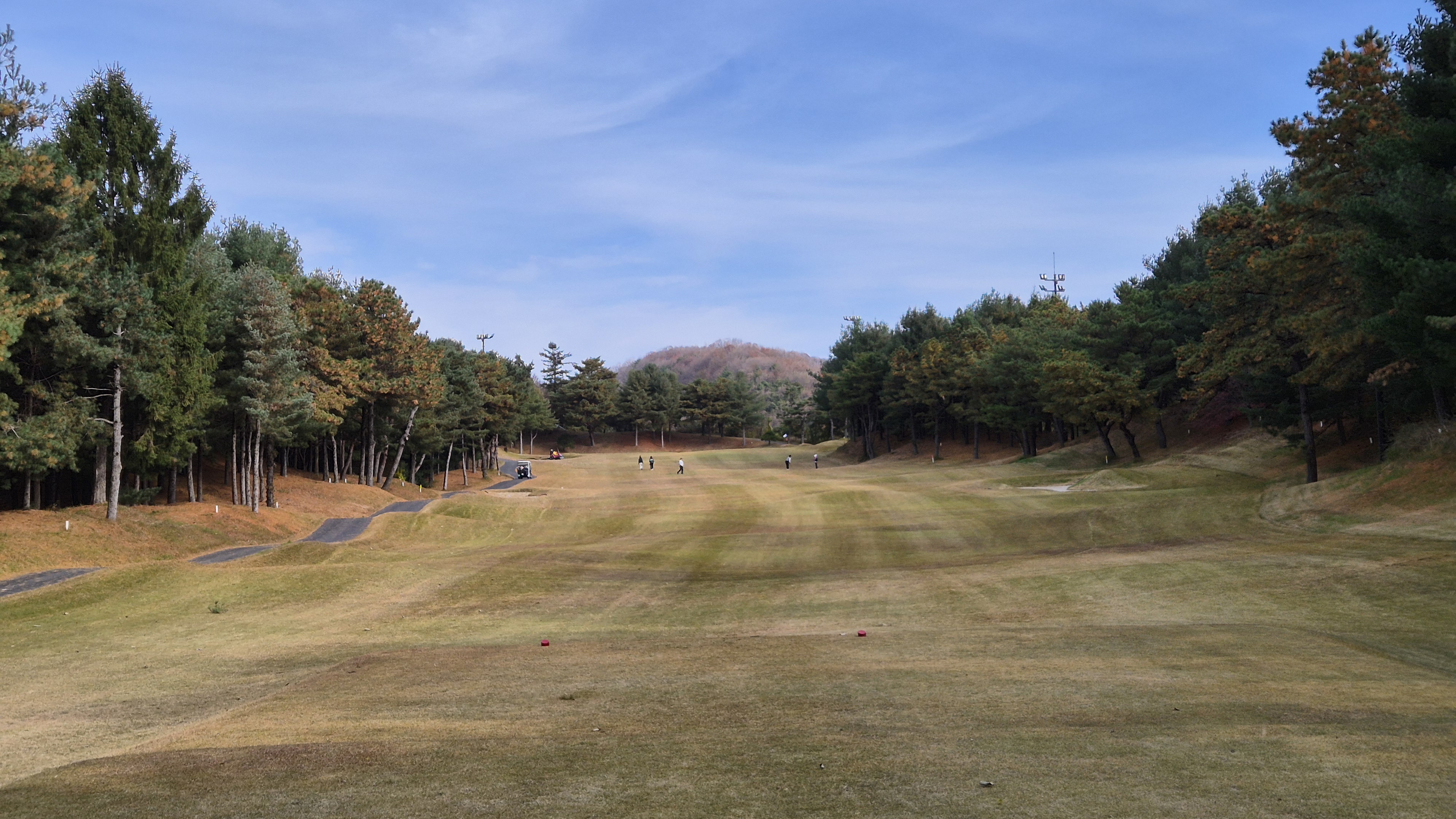 세종에머슨cc 밸리코스 사진 및 공략 정보