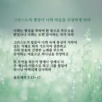 골로새서 3장 23절 묵상 - 무엇을 하든지 마음을 다하여 주께 하듯 하고_17