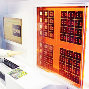  반도체 유리기판 관련주 대장주 TOP5