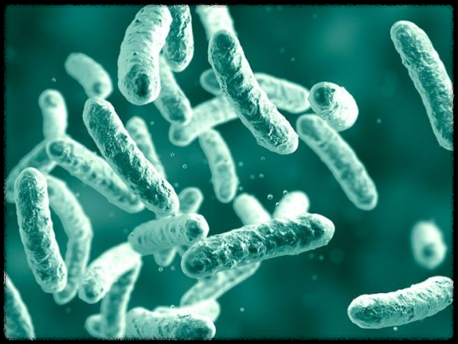 덴티오스 공식몰 가격 비교 – 최저가 구매 방법까지 공개!