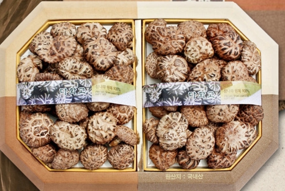 표고버섯사진
