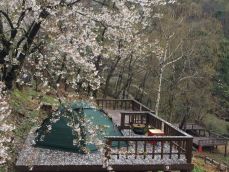 용문산 자연휴양림