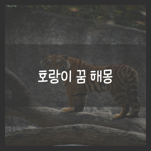 호랑이 꿈 해몽