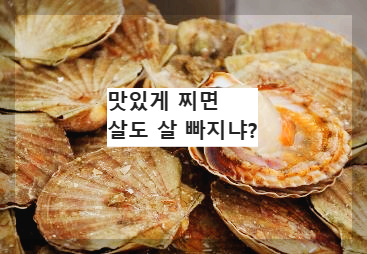 가리비