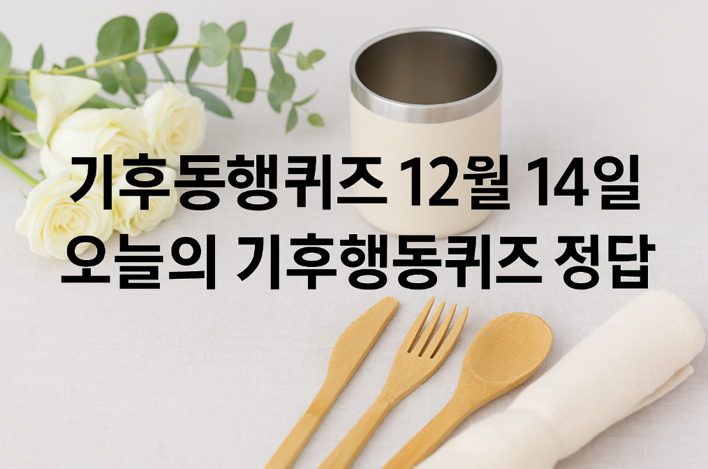 기후동행퀴즈 12월 14일 정답 3분 완벽 정리