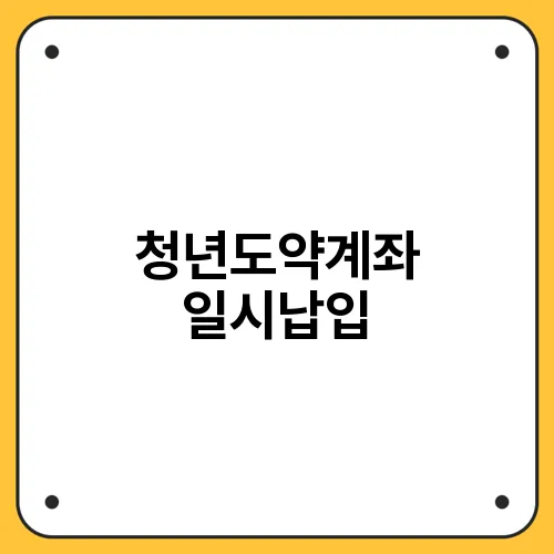 청년도약계좌 일시납입