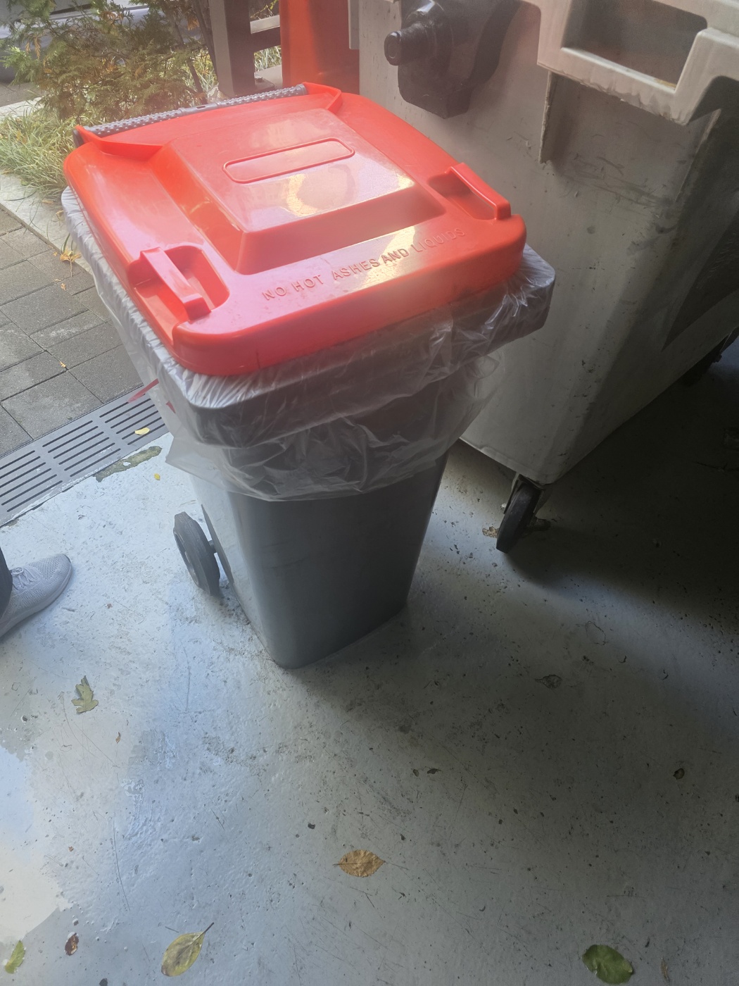 치킨 뼈 & 생선 뼈