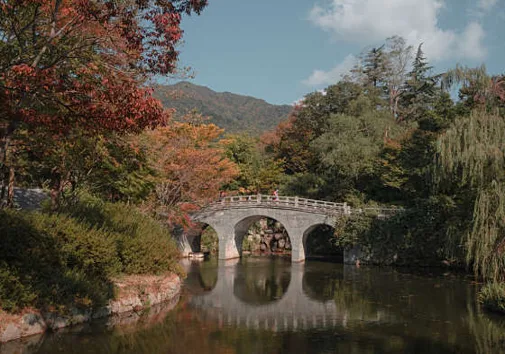 경상북도수목원