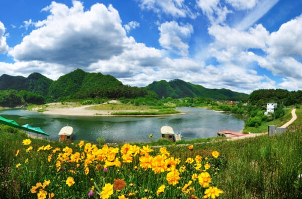 청령포