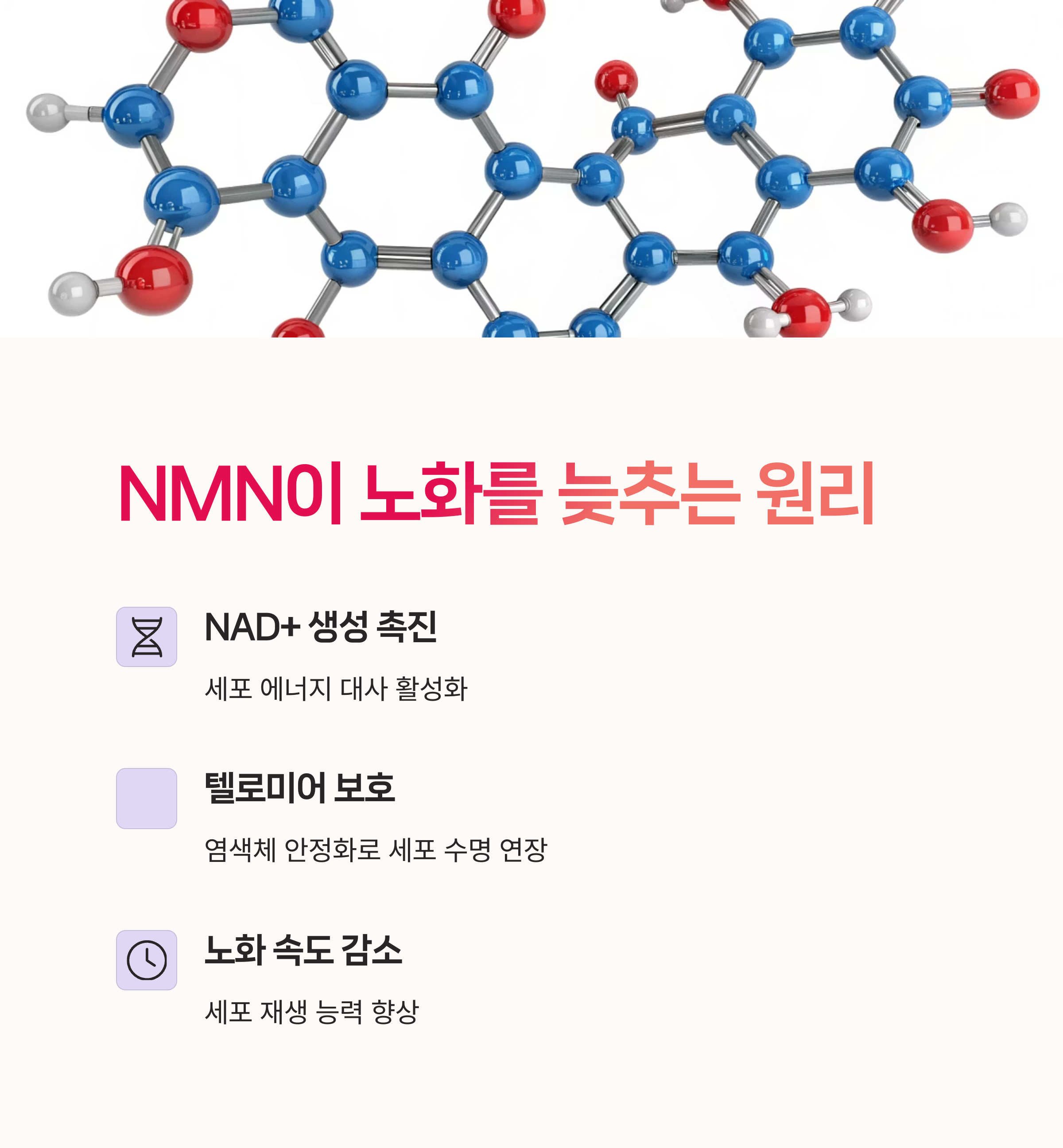 노화방지, NAD보충,