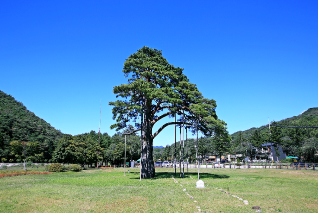 보은 생활비 줄이는 실제 루틴 &mdash; 군 단위 지역에서 돈 아끼는 현실적인 생활 방식