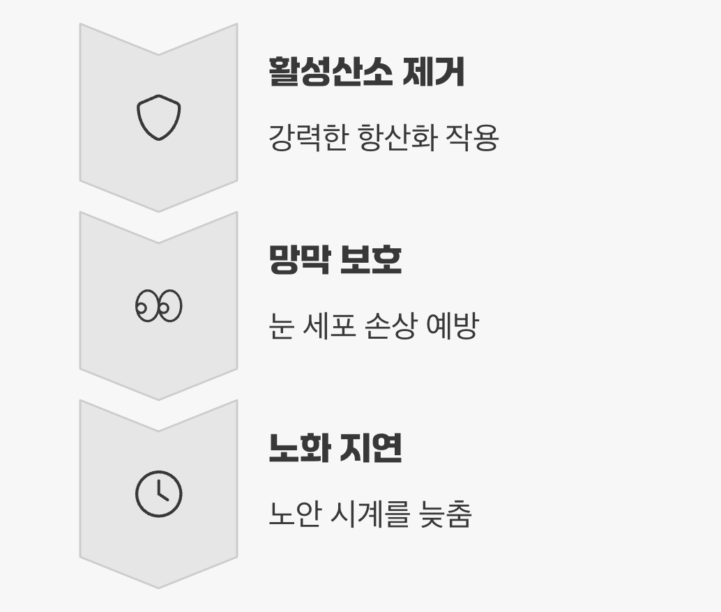 노안을 늦추는 강력한 '항산화' 파워
