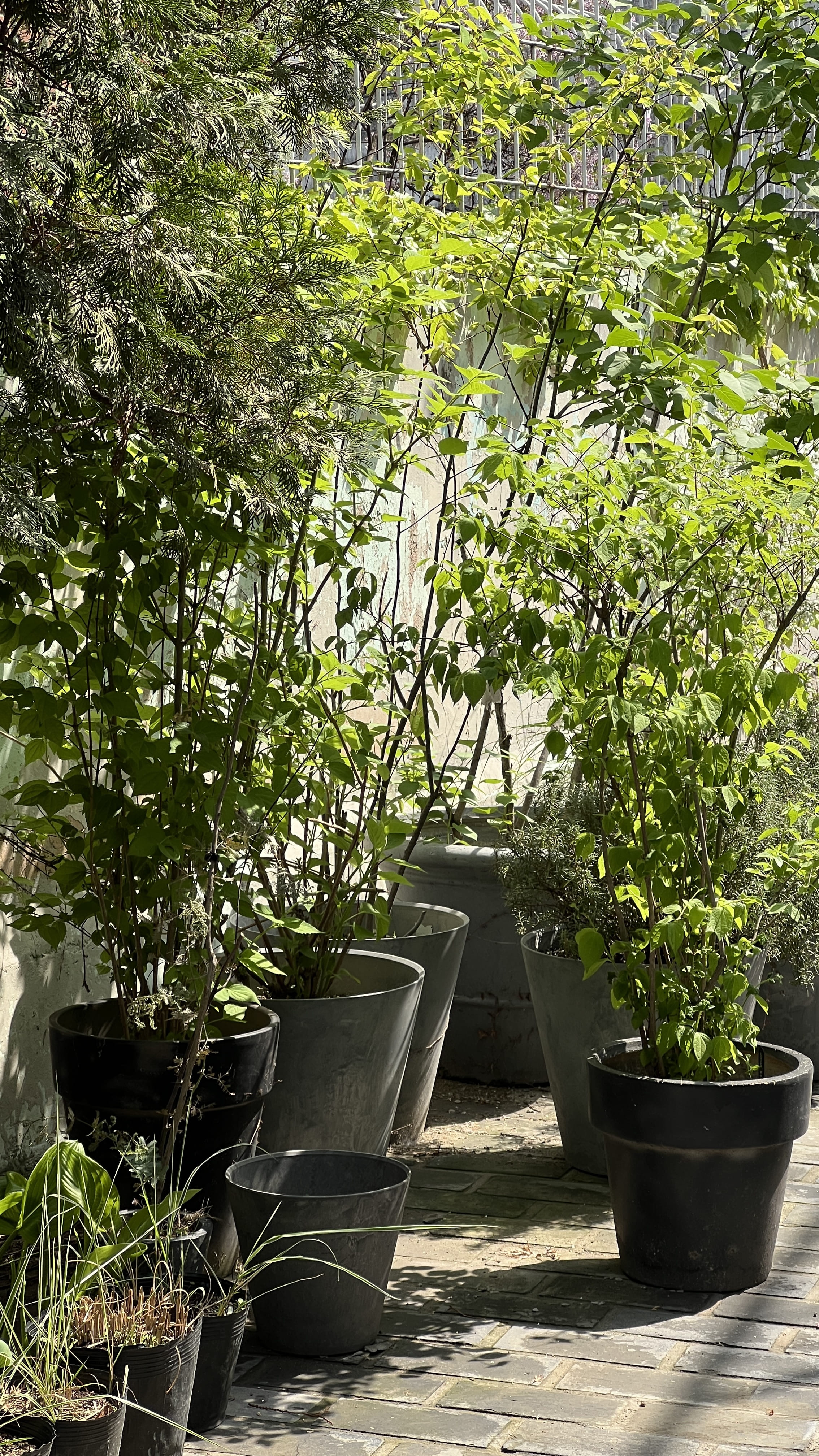 이태원-한남동-카페-추천-한남작업실