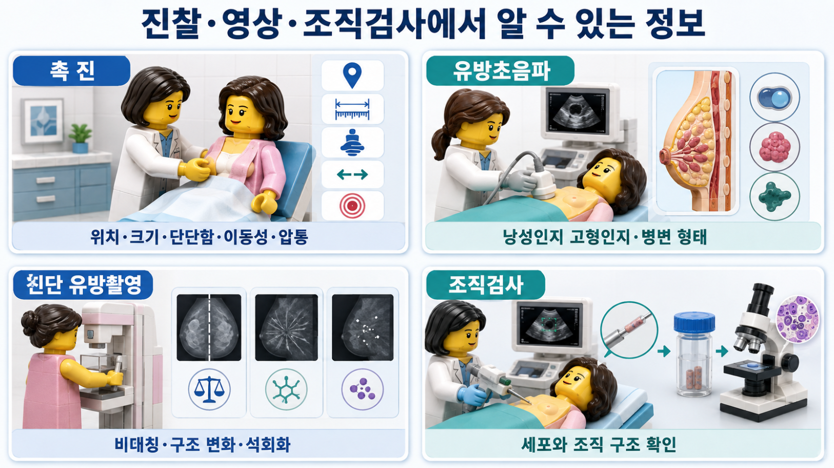 유방 촉진·유방초음파·진단 유방촬영·조직검사에서 확인하는 정보 비교
