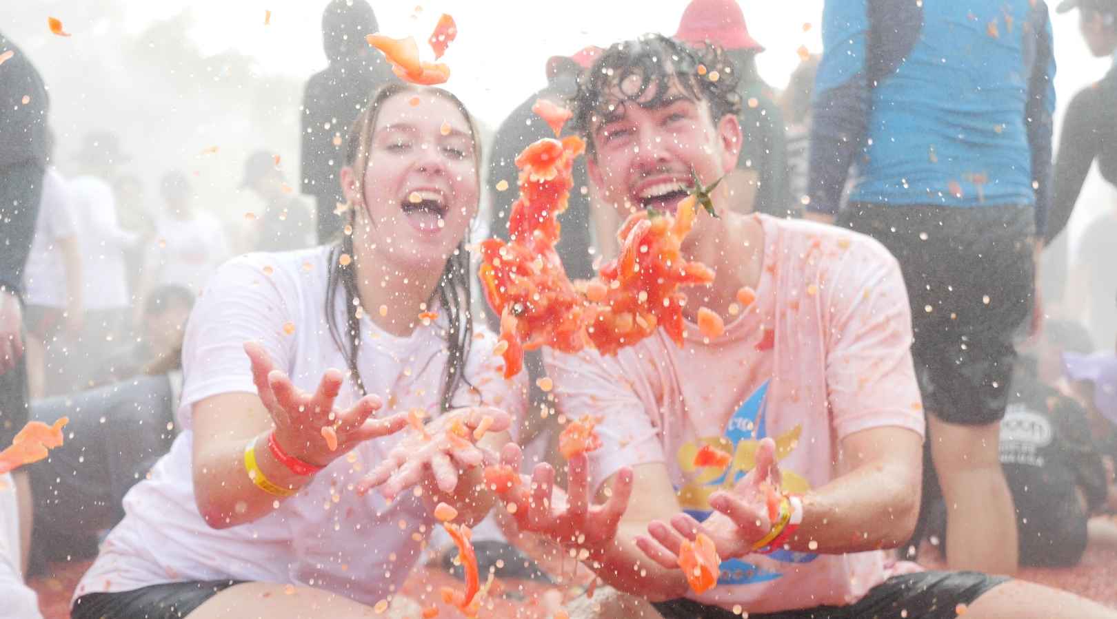 화천 토마토축제