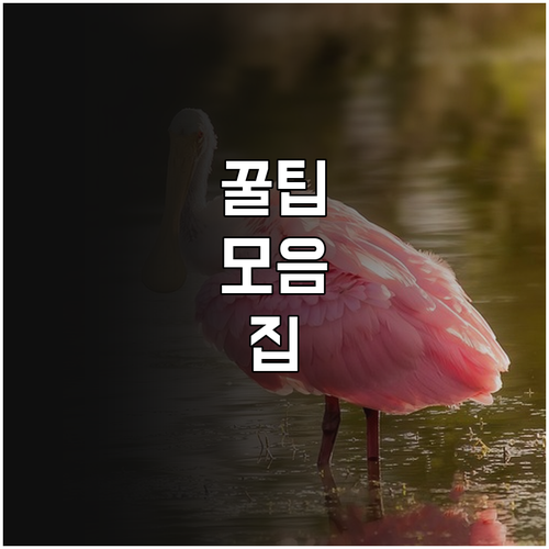 화훼산업 2025 운영 자금난 해결 ..