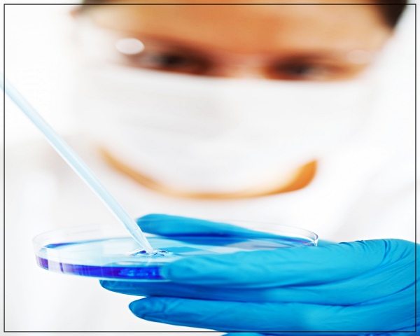 장내 미생물이 미치는 영향