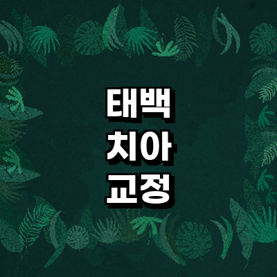 태백시 교정 치과