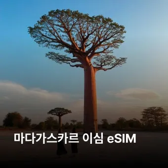 마다가스카르 여행 경비와 패키지 가격 비행시간 총정리_20