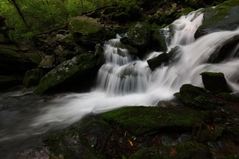 현대자동차 서비스센터 영업시간