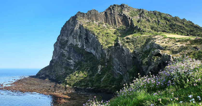 제주맛집 여행 관련 사진