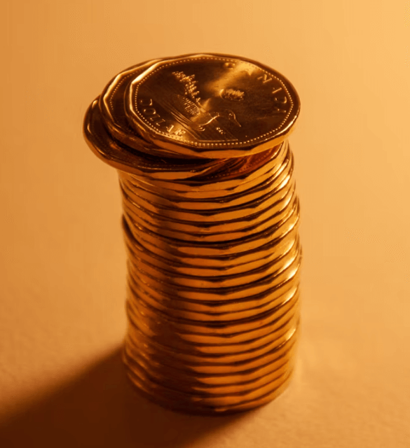 나에게 맞는 미국 고배당 ETF 찾기: HDV, SCHD, VYM 비교!