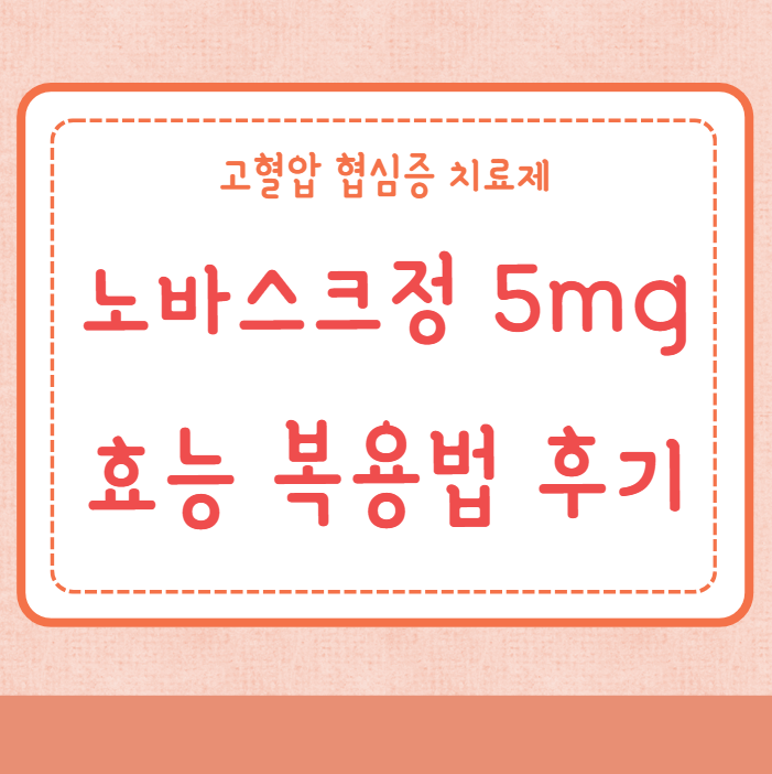 노바스크정 5mg 특징 효능 복용법 후기