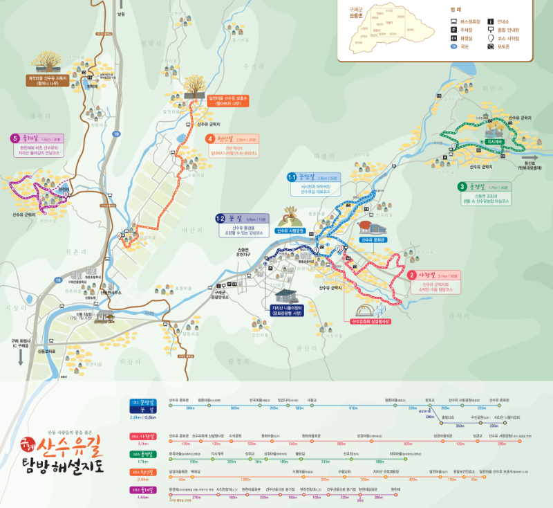 구례 산수유 축제