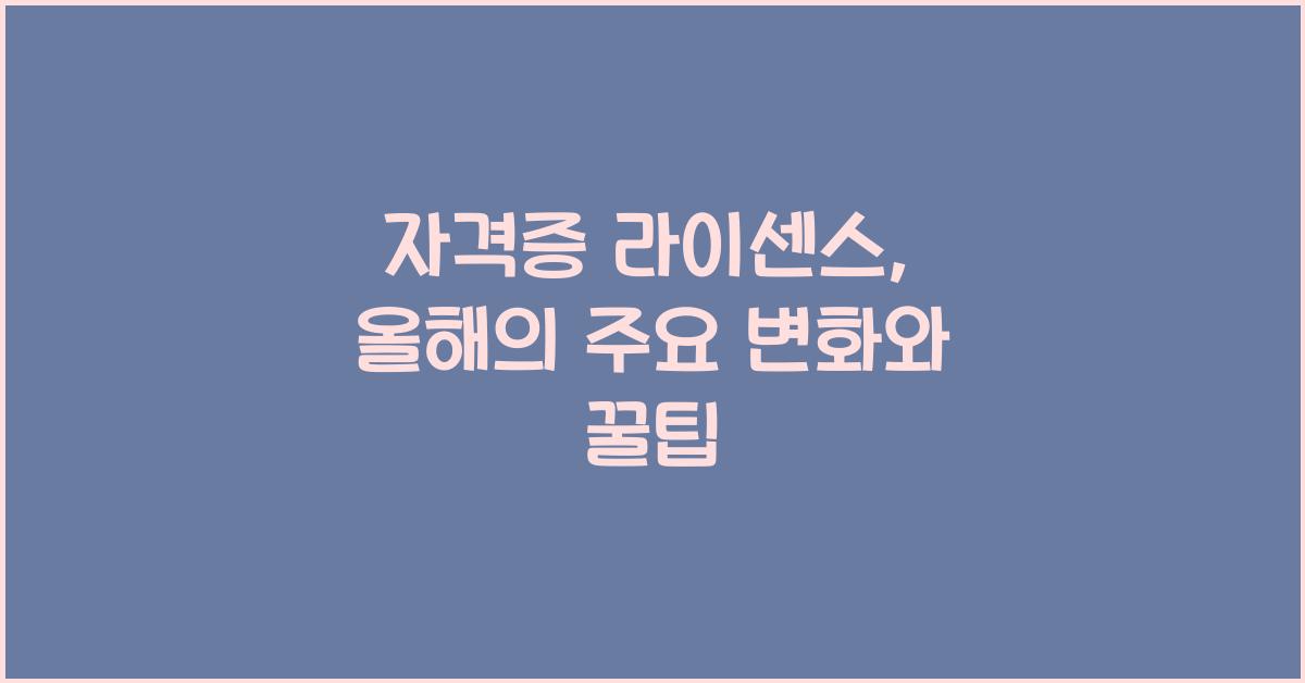 자격증 라이센스