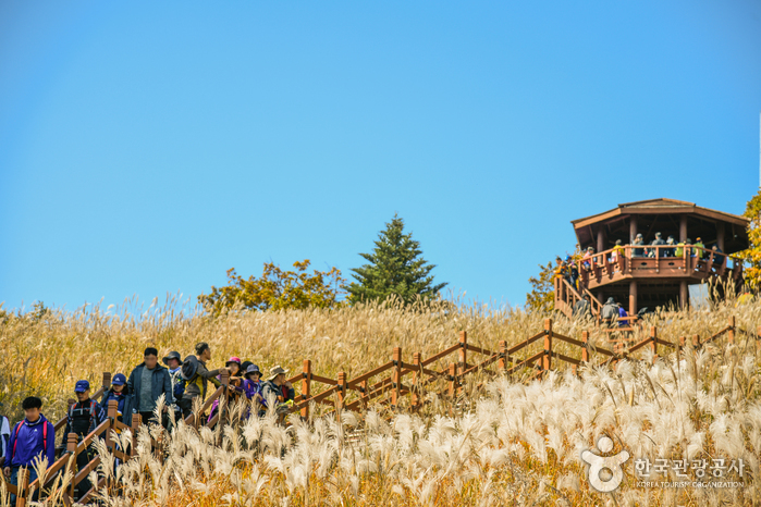 포천 명성산 억새꽃축제 가을에 여행하기 좋은곳 추천