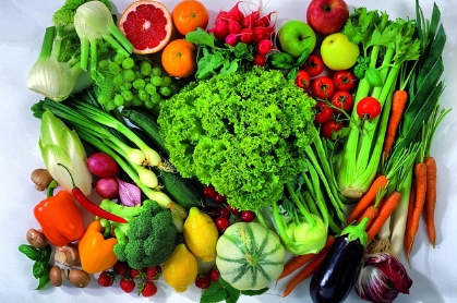 건강한 지방, 몸과 마음에 꼭 필요한 영양소