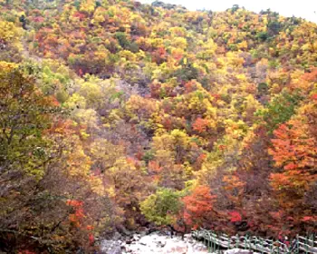 지리산 국립공원_13