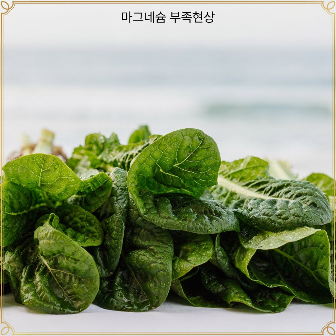 마그네슘 부족현상