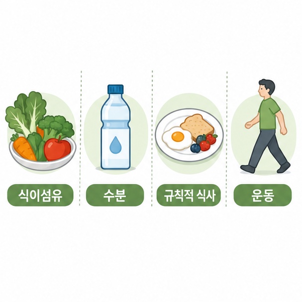 변비 생활 관리 식이섬유 수분 운동 방법