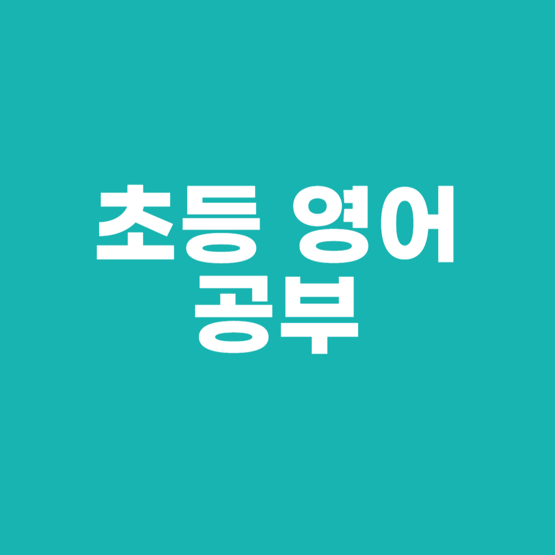 초등 영어 공부