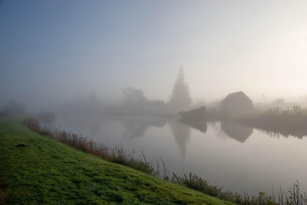 뉴칼레도니아뜸부기의 여러 서식지를 파헤쳐 보자
