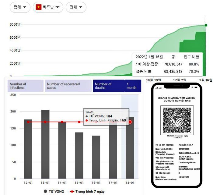 베트남 백신 접종률